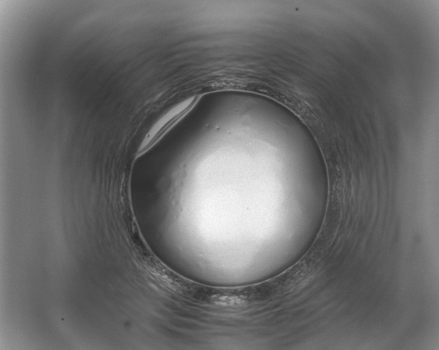 X0000064730649200602241720