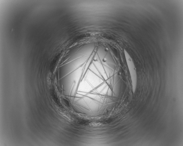 X0000064730650200602241720