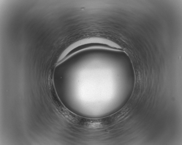 X0000064730651200602241720