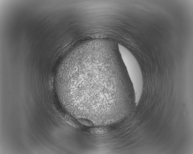 X0000064730652200602241720