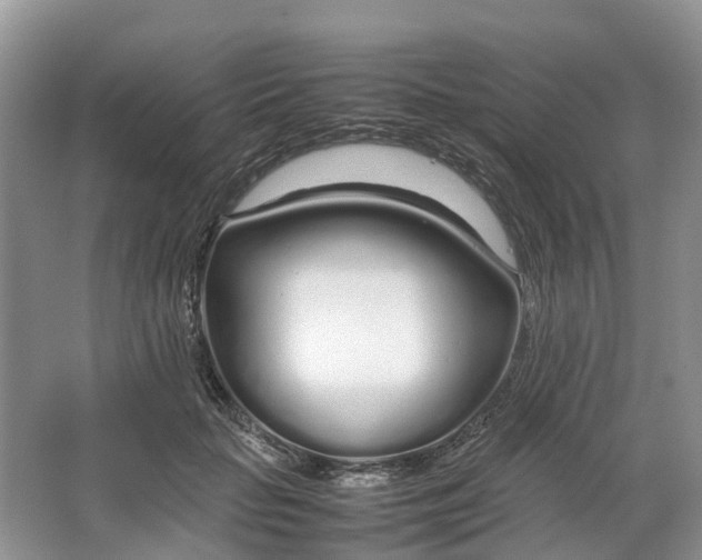 X0000064730653200602241720