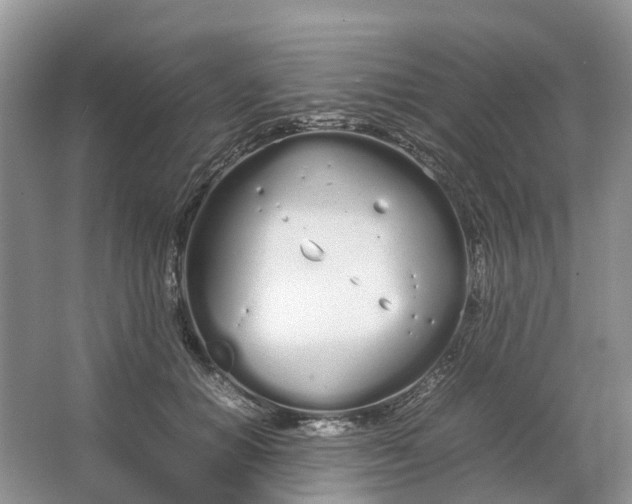 X0000064730654200602241720