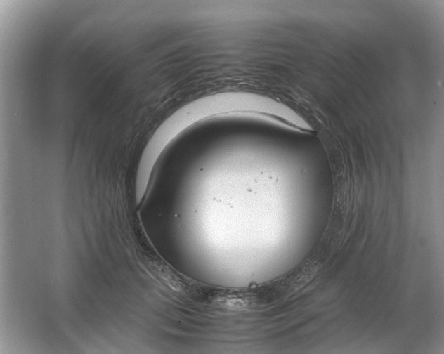 X0000064730655200602241720