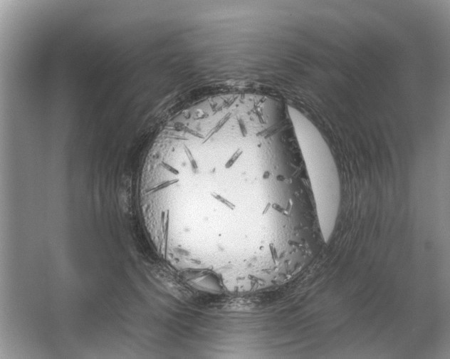 X0000064730656200602241720