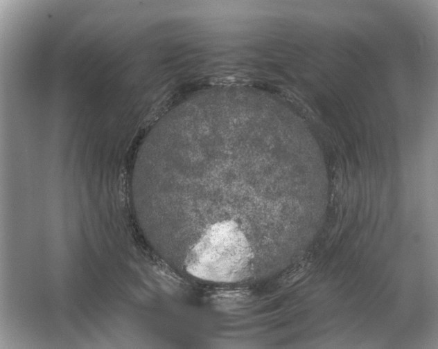 X0000064730659200602241720