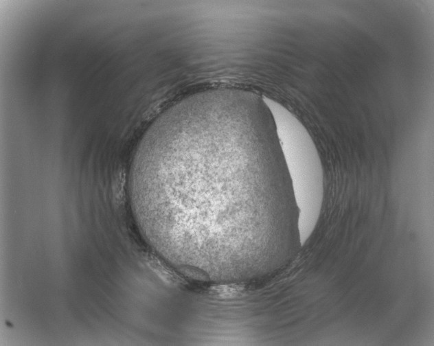 X0000064730660200602241720