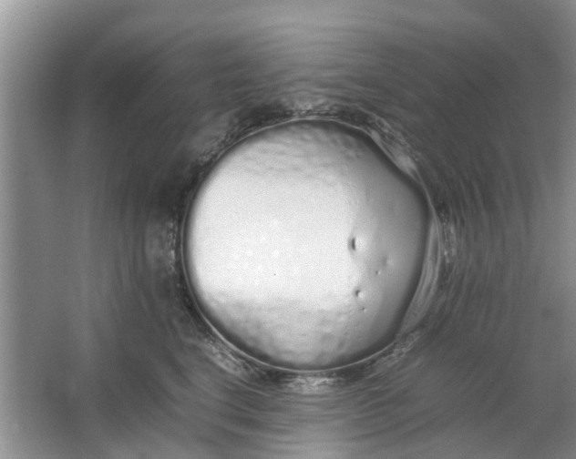 X0000064730664200602241720