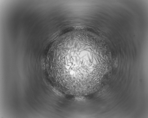 X0000064730666200602241720