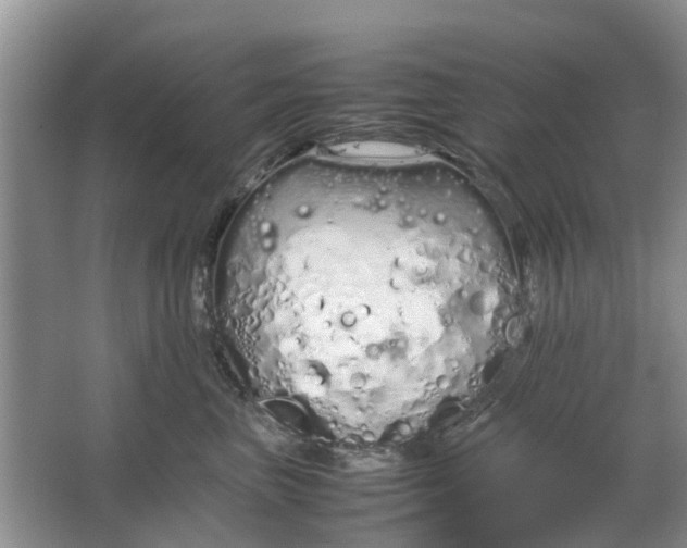 X0000064730667200602241720