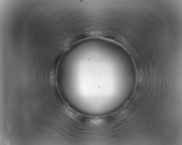 X0000064730669200602241720