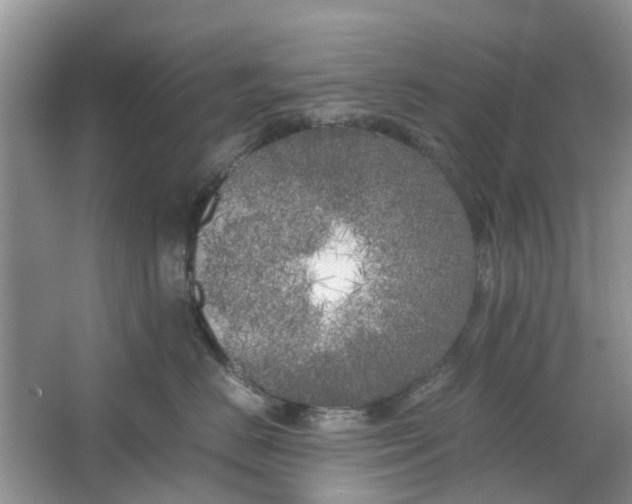 X0000064730670200602241720