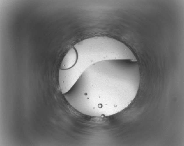 X0000064730672200602241720