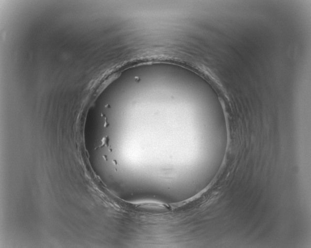 X0000064730673200602241719