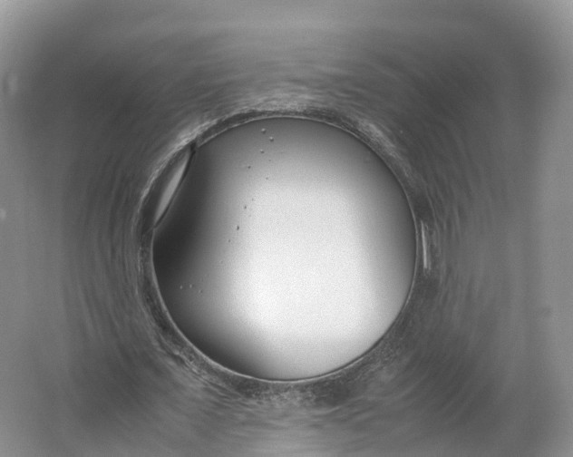 X0000064730675200602241719