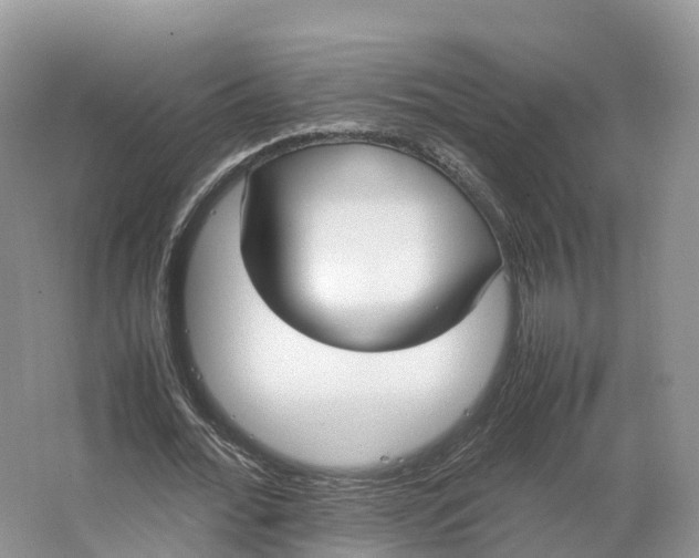 X0000064730676200602241719