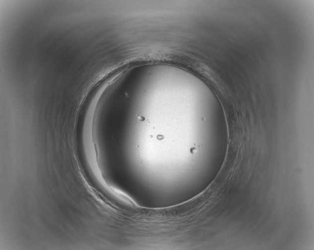 X0000064730677200602241719