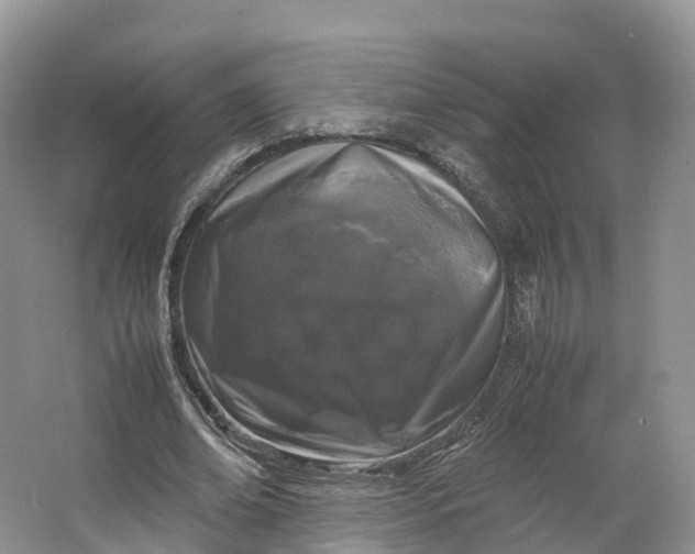 X0000064730678200602241719