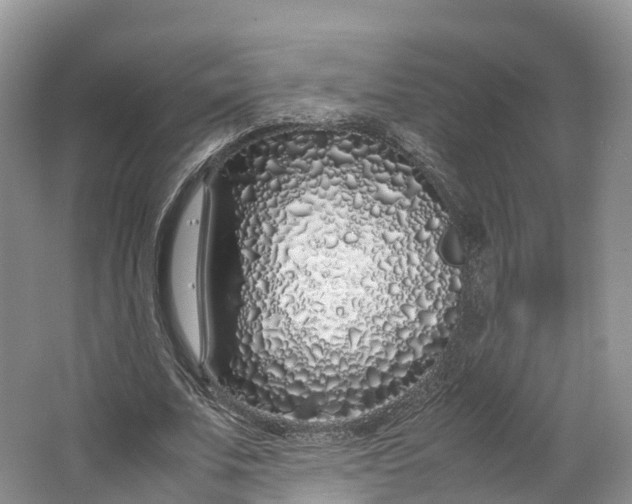 X0000064730679200602241719