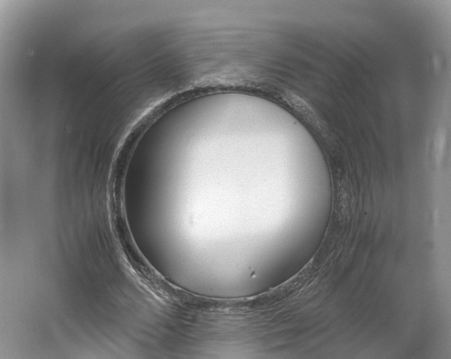 X0000064730680200602241719