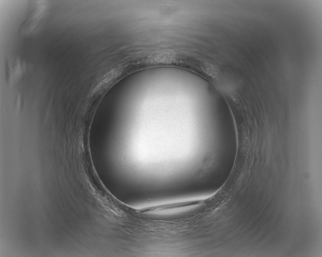 X0000064730681200602241719