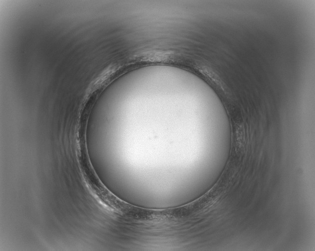 X0000064730682200602241719