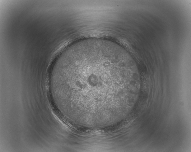 X0000064730683200602241719