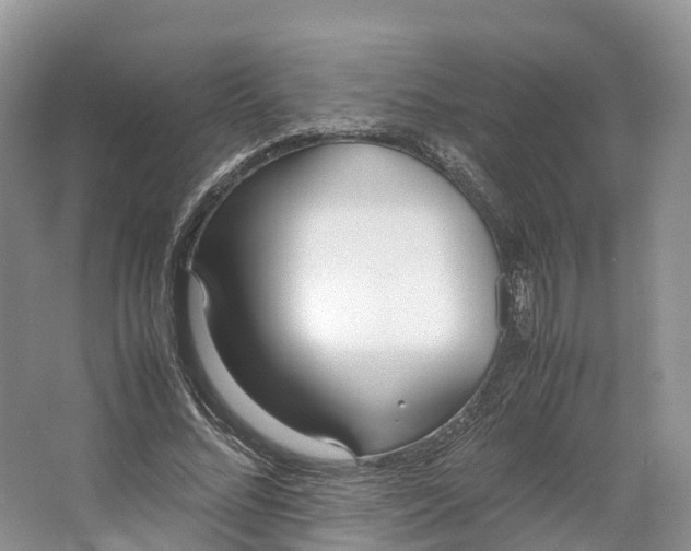 X0000064730684200602241719