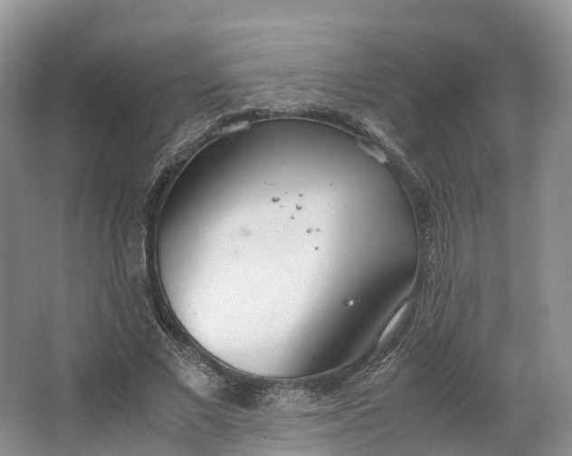 X0000064730685200602241719