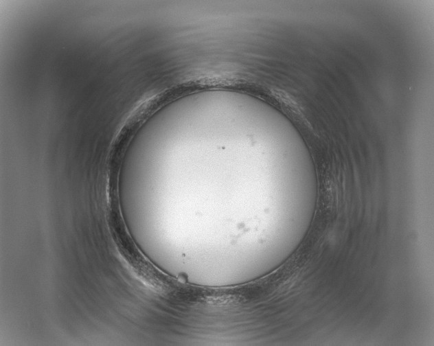 X0000064730686200602241719