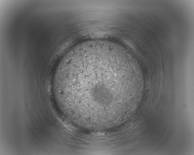 X0000064730687200602241719