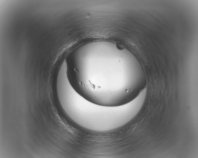 X0000064730688200602241719