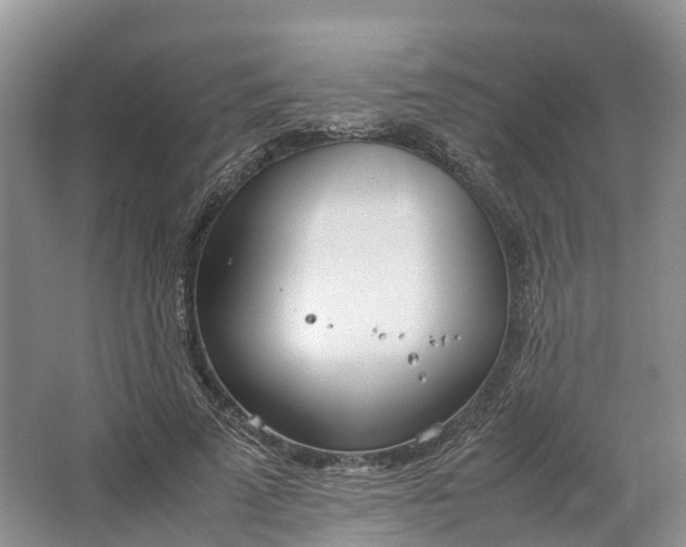 X0000064730689200602241719