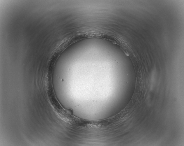 X0000064730690200602241719