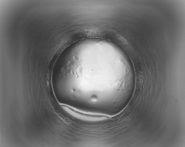 X0000064730691200602241719