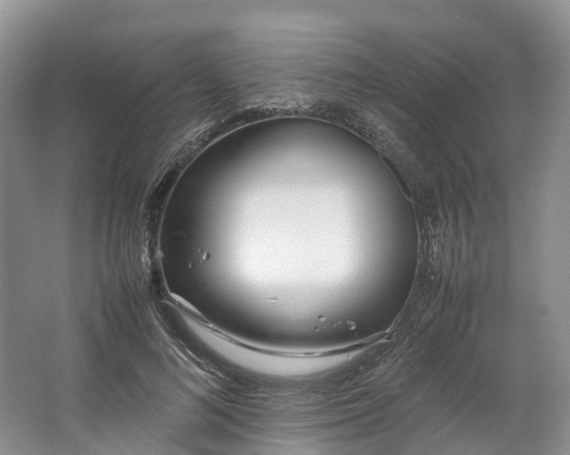 X0000064730692200602241719