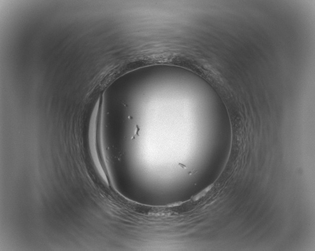 X0000064730693200602241719