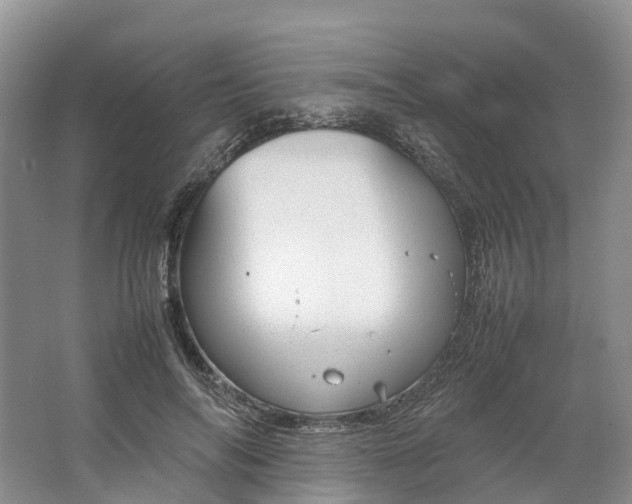 X0000064730694200602241719