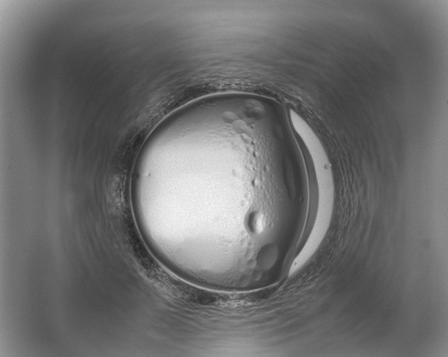 X0000064730695200602241719