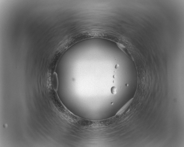 X0000064730696200602241719