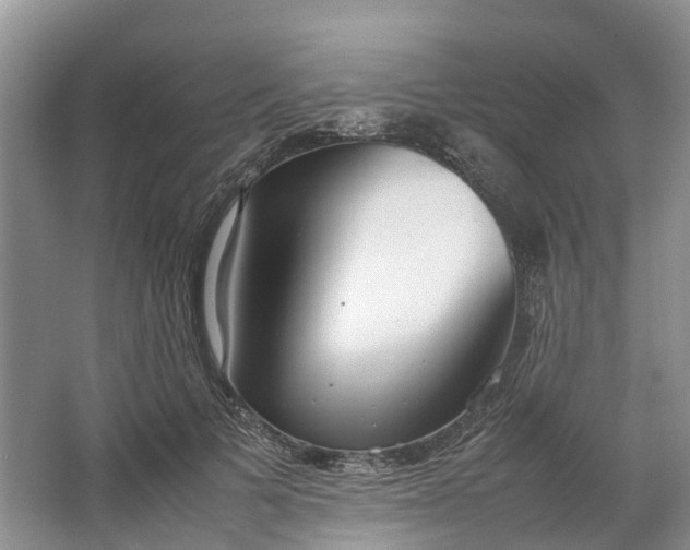 X0000064730697200602241719