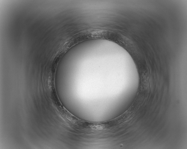 X0000064730698200602241719