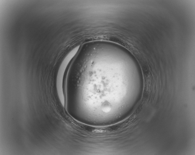 X0000064730699200602241719