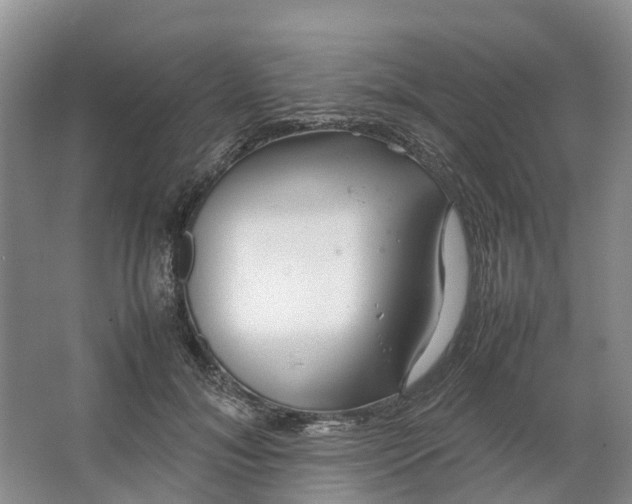 X0000064730700200602241719