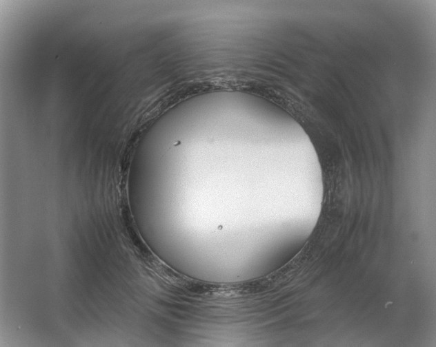 X0000064730702200602241719