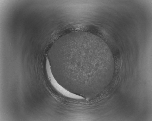 X0000064730703200602241719