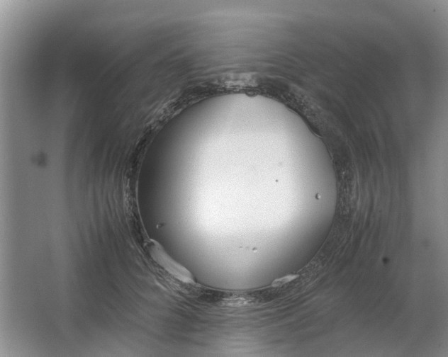 X0000064730704200602241718