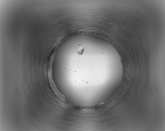 X0000064730708200602241718