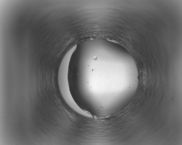 X0000064730712200602241718