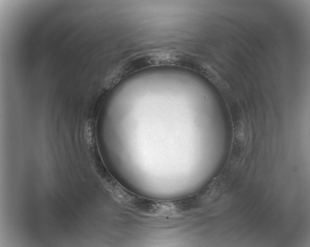 X0000064730715200602241718