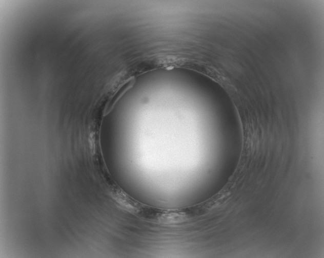 X0000064730716200602241718